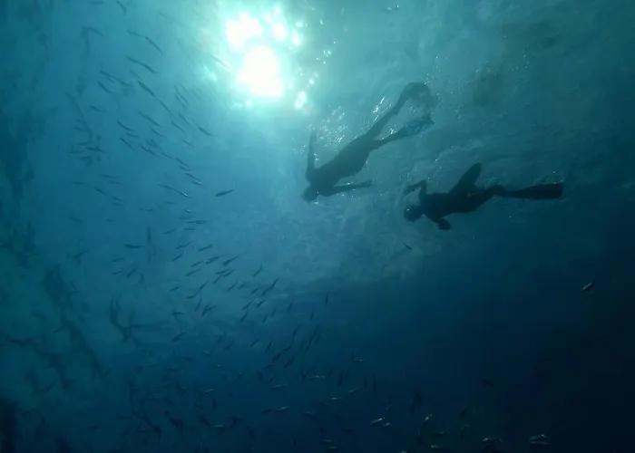 公寓 玛里奥公寓 *