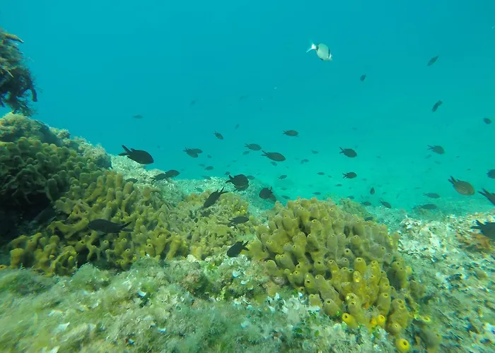 Mario Apartman Póla