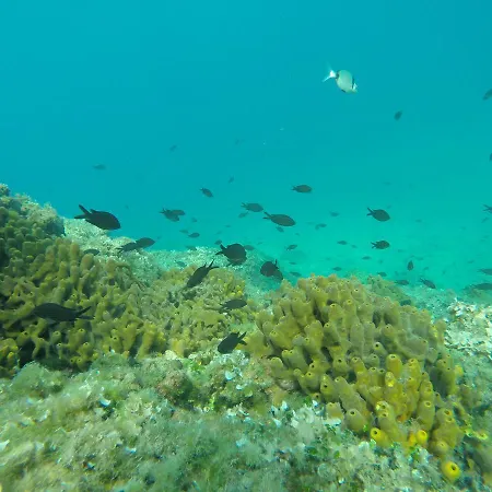 Mario Апартаменти Пула