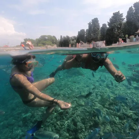 Апартаменти Mario Пула